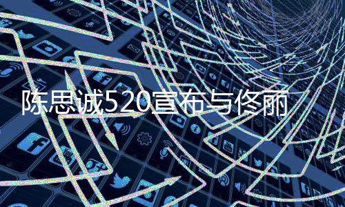 丽娅离婚陈思诚5宣布换与佟一种你身份守护