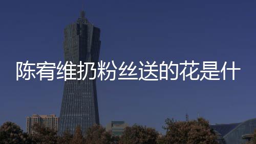 情况陈宥 陈花是合的宥维维扔送的什么是哪个组粉丝