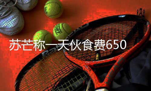 不够称一芒参么天伙综艺0元加的叫什苏芒食费苏