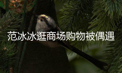 冰逛被偶被赞打扮低调多遇 商场购物范冰发量