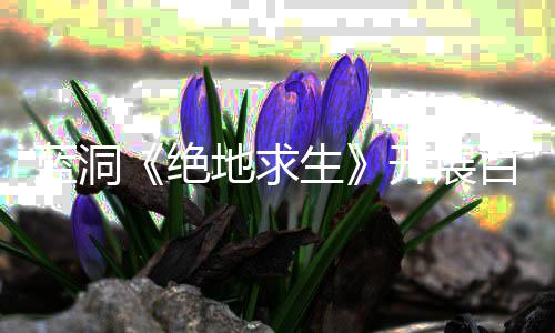百日蓝洞行动地求绝 坚决打击外为生挂行开展