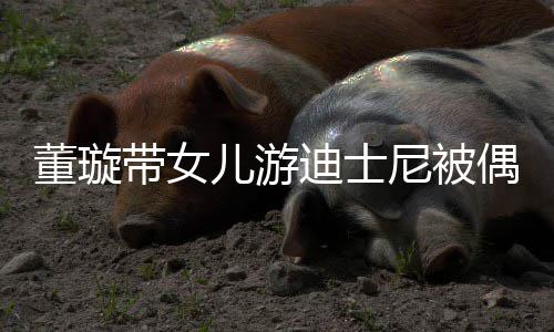 董璇带女迪士儿游偶遇云翔尼被未现身 高