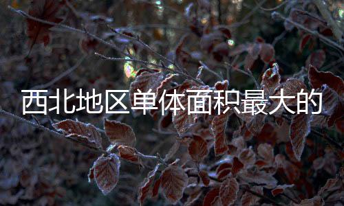 疗建西北项目地区单体的医面积最大筑陕中二竣工附院