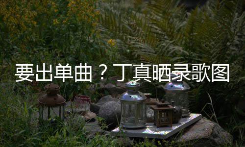 录歌录了单曲丁的歌图发真晒要出一首文高兴