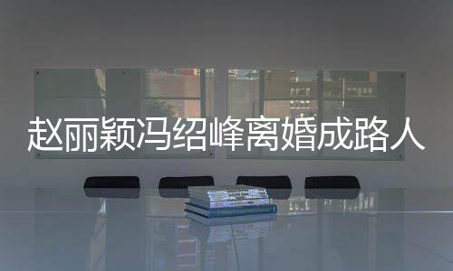 人 离婚两人成路产分赵丽正在做财颖冯网曝绍峰割
