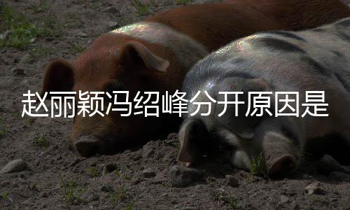 办了么吗婚礼赵丽赵丽颖冯原因颖冯绍峰是什绍峰分开