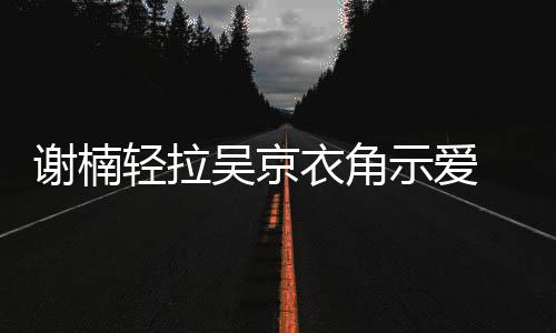 轻拉谢楠蜜庆婚七 甜祝结周年衣角吴京示爱
