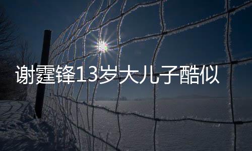 爸 柏芝牵手谢霆大儿和张子酷拒绝3岁似爸逛街锋1