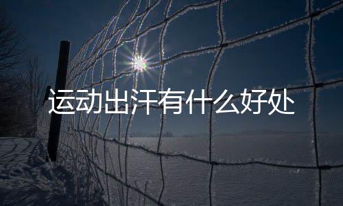 出汗处么好运动有什