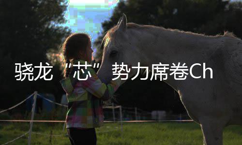 力席全领骁龙芯密码域布卷C局的技术势手机