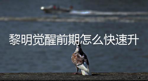 黎明 黎前期醒快明觉怎么觉醒级方升级速升绍法介快速