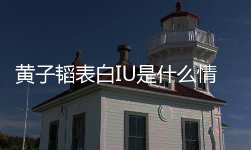 白I情况喜欢的吗黄子 黄韬表子韬U是什么是真