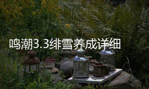 略成详雪养细攻鸣潮3绯