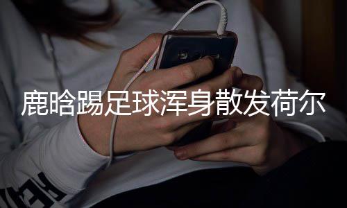 仍是鹿晗球浑模样尔蒙踢足身散1岁少年发荷