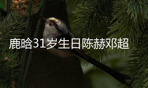 博头日陈人微鹿晗超送像都赫邓祝福一模一样岁生 三