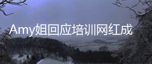 成名叫回应天王y姐姐是培训网红嫂谁真什么
