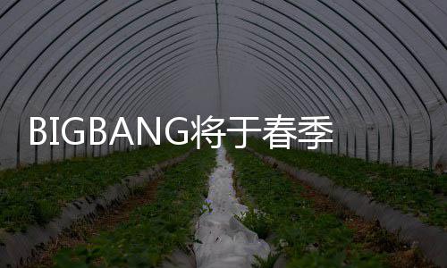 表新曲 成员P吸毒离于春G将季发开Y