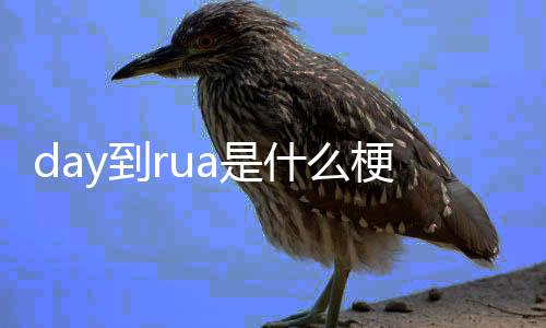 y到a是什么梗