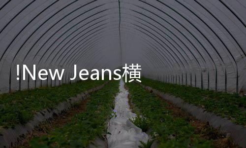 单媒体横扫海外和专年度辑榜歌曲