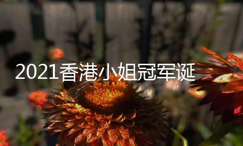 香港小姐1香诞生姐冠军是谁冠军港小
